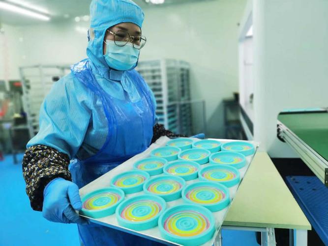 數據驅動的精準突圍 一家企業的核心技術、產品定位與市場開發之路